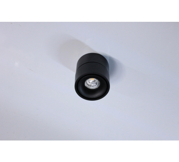 Потолочный накладной светильник ROUND-OUT-01-1-BL-WW (теплый белый свет, черный корпус)  фото 1
