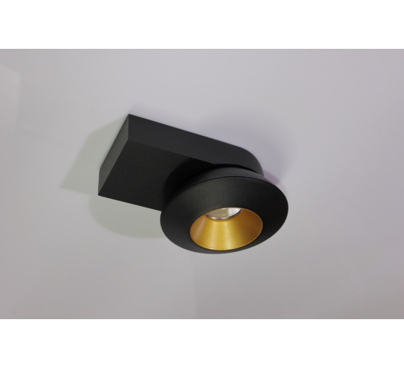 Накладное декоративное кольцо (черное/золото) в светильник серии ROUND-OUT-02/03 and ROUND-IN-03/04 фото 5
